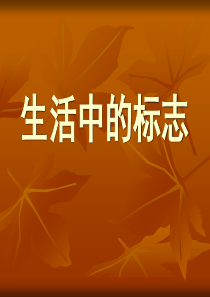 生活中的标志.ppt33