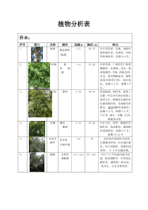 植物配置表