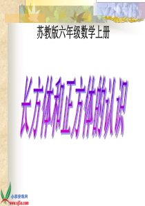 苏教版数学六年级上册《长方体和正方体的认识》PPT课件