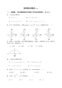 初中代数综合测试