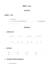 桂花雨练习题