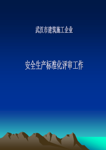 武汉市建筑施工企业安全生产标准化评审（PPT44页)