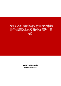 2019-2025年中国铜冶炼行业市场竞争格局及未来发展趋势报告