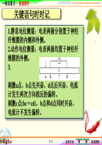 课件42---电位测量与电流计指针偏转问题分析