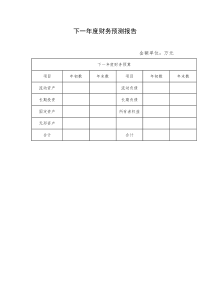 下一年度财务预测报告