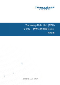 Transwarp-Data-Hub一站式大数据综合平台白皮书