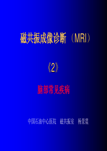 磁共振成像诊断-(MRI)脑部疾病