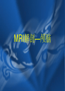 MRI解剖—颅脑