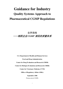 FDA工业指南--CGMP的质量体系(中文译稿)