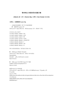 文档五、安装配置Oracle 10g