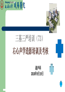 右心声学造影培训及考核