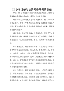 XX小学道德与法治网络培训的总结