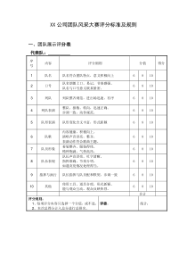 团队风采展示评分标准