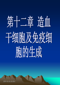 造血干细胞及免疫细胞的生成