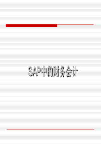 SAP中的财务会计(76)