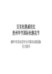 贵州毕节国际杜鹃花节活动宣传与开幕活动策划执行方案书