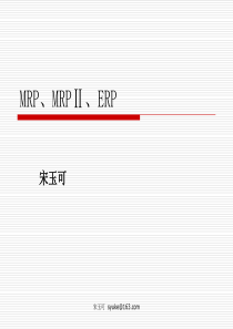 MRP概述