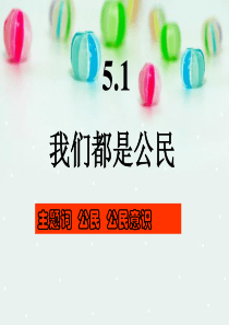 《5.1-我们都是公民》课件3