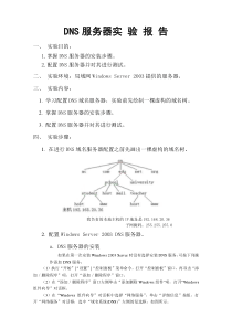 配置DNS服务器实验报告