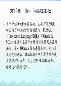 精通Oracle核心技术和项目实战之Oracle编程基础