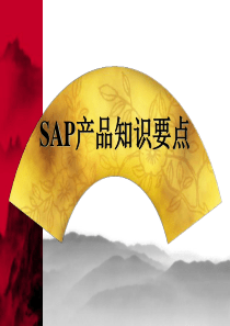 SAP产品知识要点