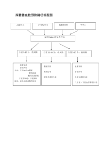 深静脉血栓预防流程