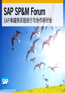 SAP仓库管理解决方案