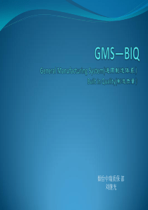 GMS-BIQ制造质量