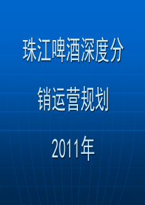 啤酒深度分销运营规划