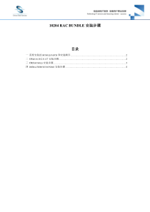 补丁安装_ORACLE 10204 RAC数据库 BUNDLE补丁安装方案