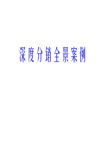 深度分销全景案例（PPT 67页）