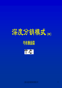 深度分销模式四路线拜访篇考核激励篇(1)