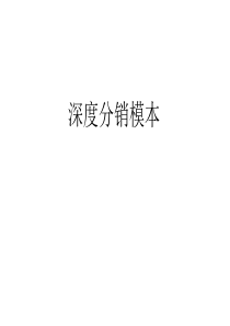 深度分销讲义(XXXX版)