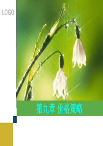 价格策略（PPT33页)