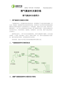 燃气激波吹灰器价格（DOC31页）