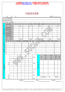 産品定价分析表