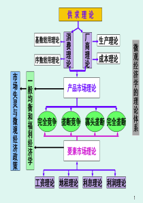 第二章需求供给与均衡价格决定理论