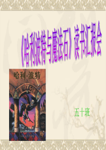 哈利波特与魔法石