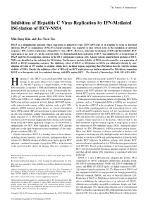 Inhibition of Hepatitis C Virus Replication by IFN