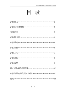 高端智能手机的性能与价格评估报告书