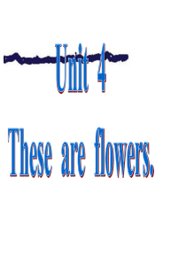 四年级上册英语课件-《Unit-4-These-are-flowers》｜湘少版