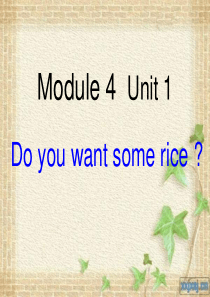 Do-you-want-some-rice--ppt