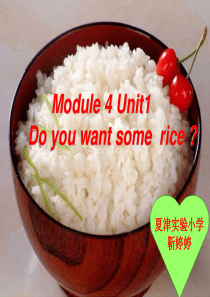 课件Do-you-want-some-rice