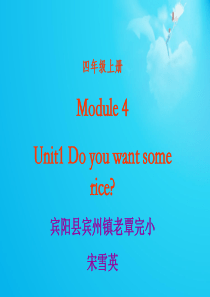 外研社四年级上册Do-you-want-some-rice