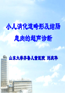 小儿消化道畸形及结肠息肉的超声诊断--刘庆华资料