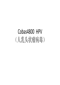 Cobas4800--HPV