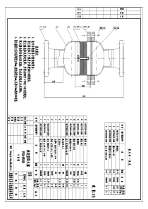 PN16-DN100阻火器图纸-Model-(1)