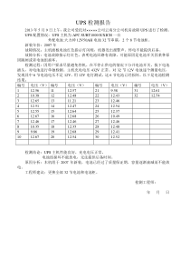 UPS检测报告