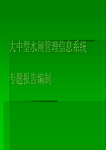 大中型病险水闸除险加固工程设计课件——水闸管理信息系统专题报告