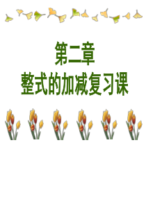 刘立华《整式的加减》复习课件